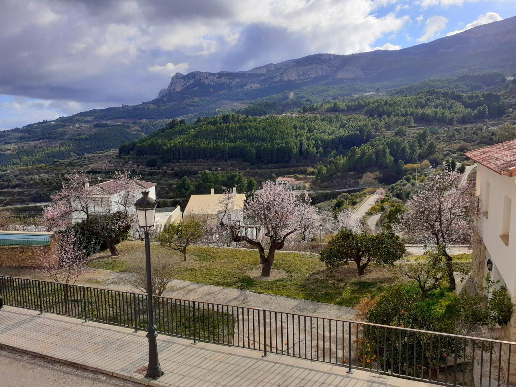 Apartament Panorama
